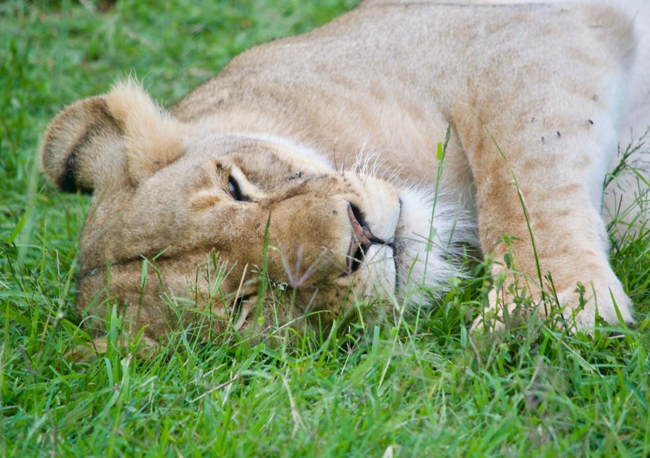 Young photographer Lara Hillier 3 Young photographer Lara Hillier 3